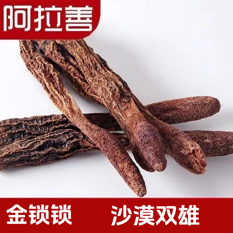 【直播间】阿拉善正品整根锁锁中药材正品泡水泡汤泡酒1斤