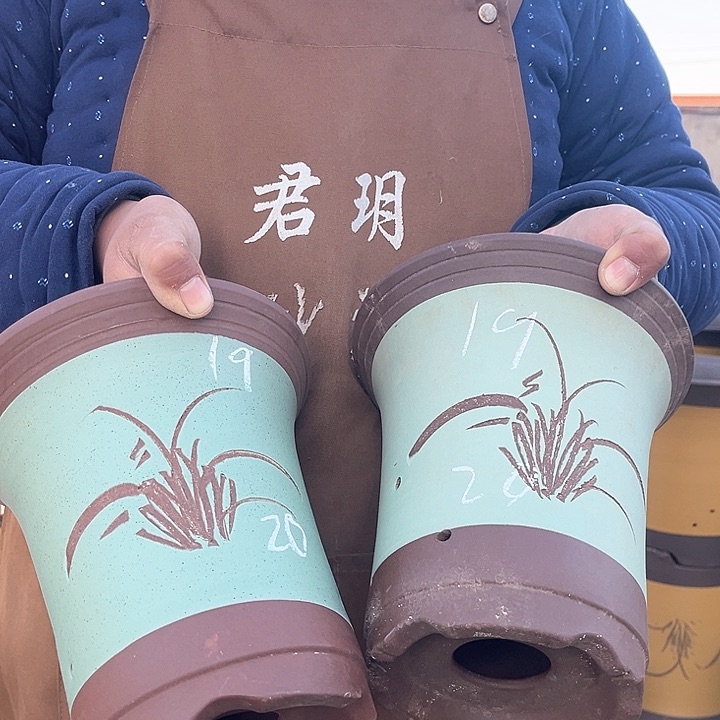 紫砂紫砂花盆盆栽