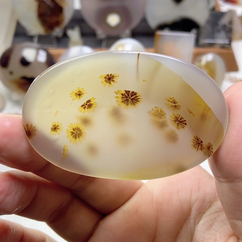 【闪购商品】玛瑙/玉髓颈饰未镶嵌