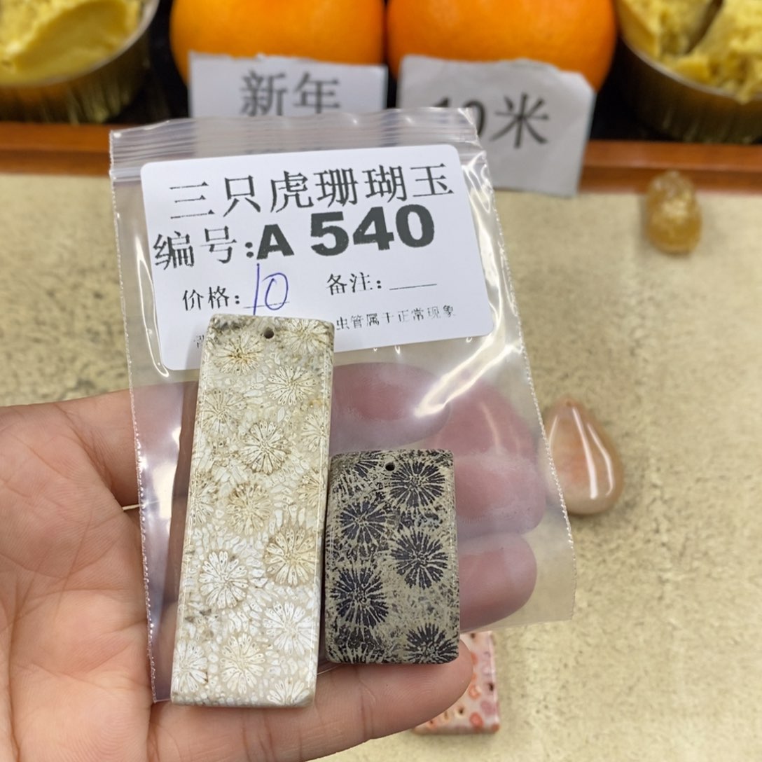 硅化珊瑚（珊瑚玉）1未镶嵌林*君