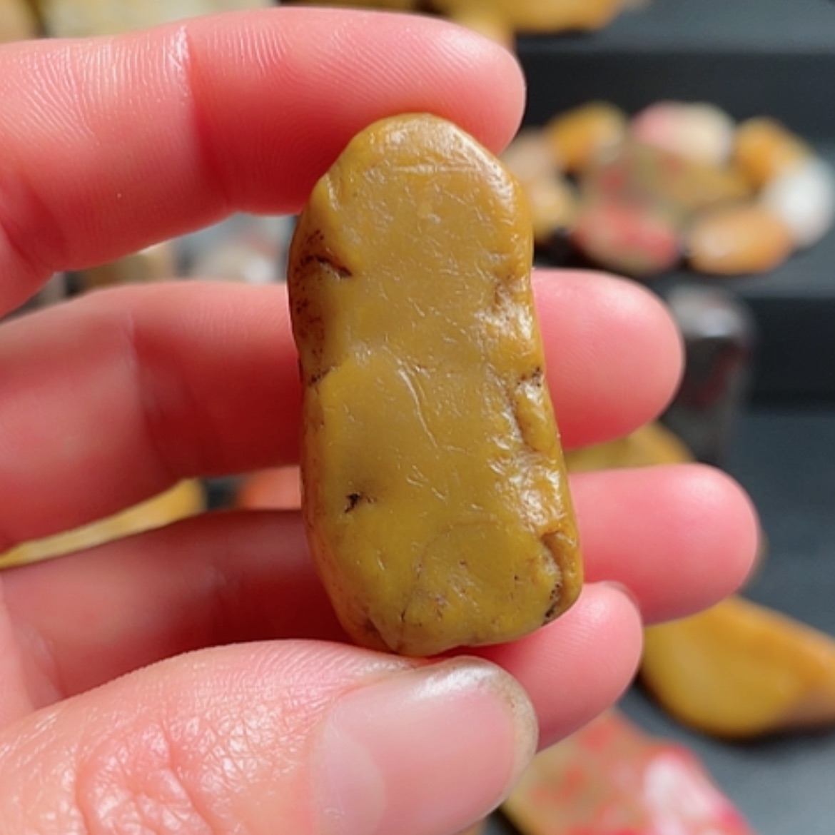 【闪购商品】昌化石三*七昌化田黄石