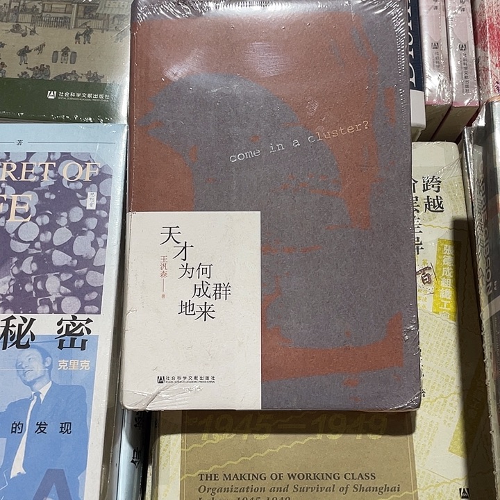 天才为何成群微瑕3