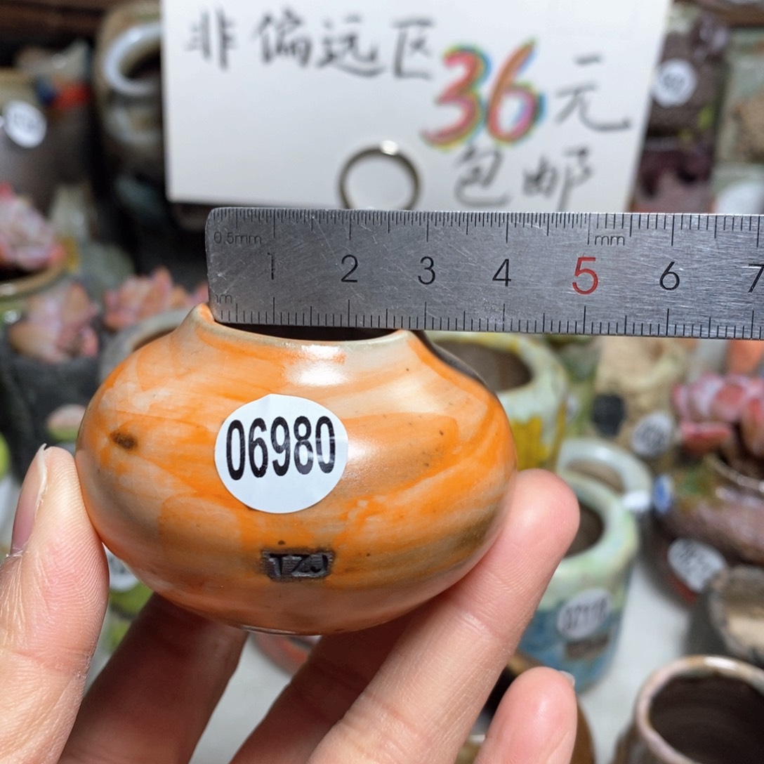花盆拍3送一个小礼物