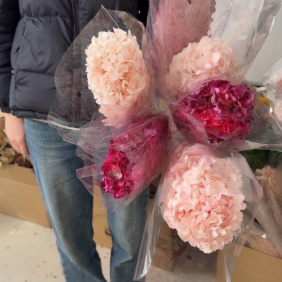 K83号带杆绣球6枝