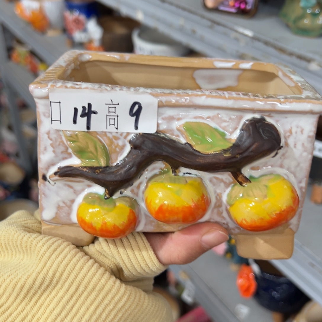 花盆，拍满20发货，退款拉黑