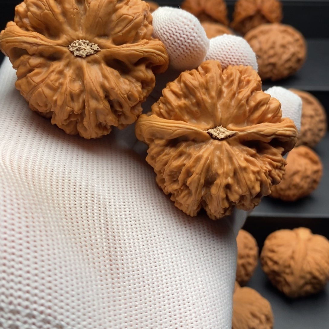 吊坠文玩核桃释*信49大粗筋