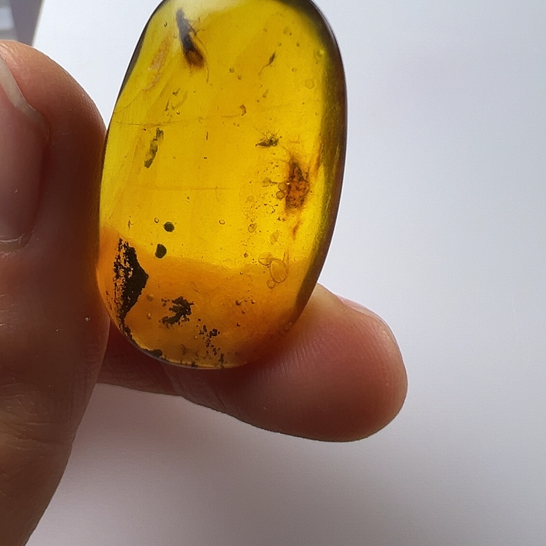 琥珀裸石未镶嵌琥珀虫珀