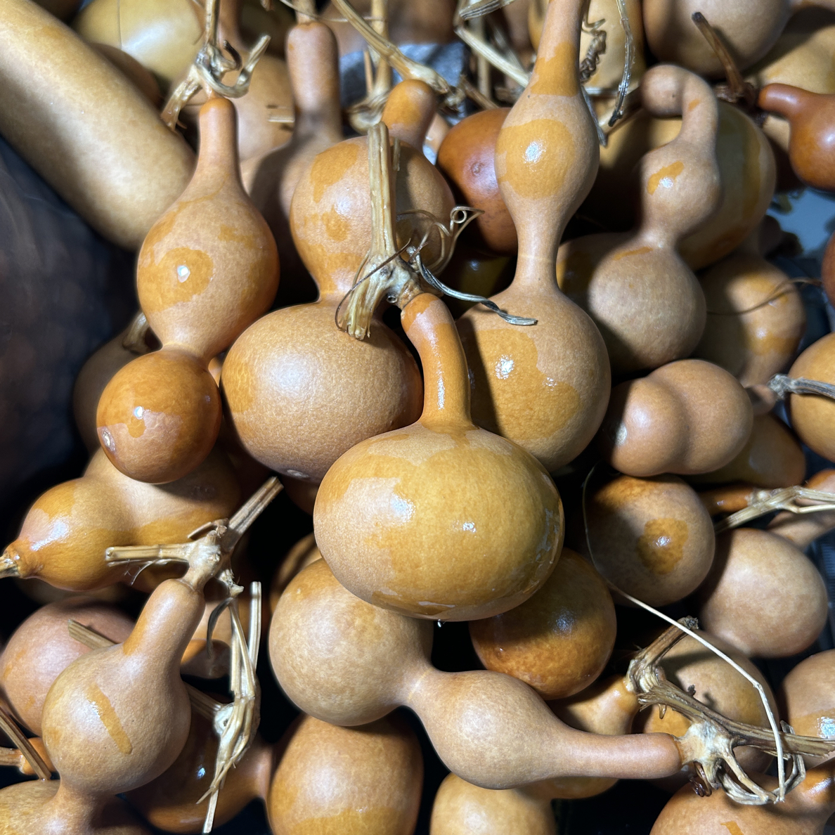 随机6个小葫芦手把件盘玩文玩带龙头天然专用福禄手捻