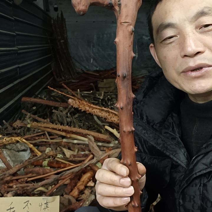 稳定木自**然贵州檬子木   铁马鞭   根艺  半成品