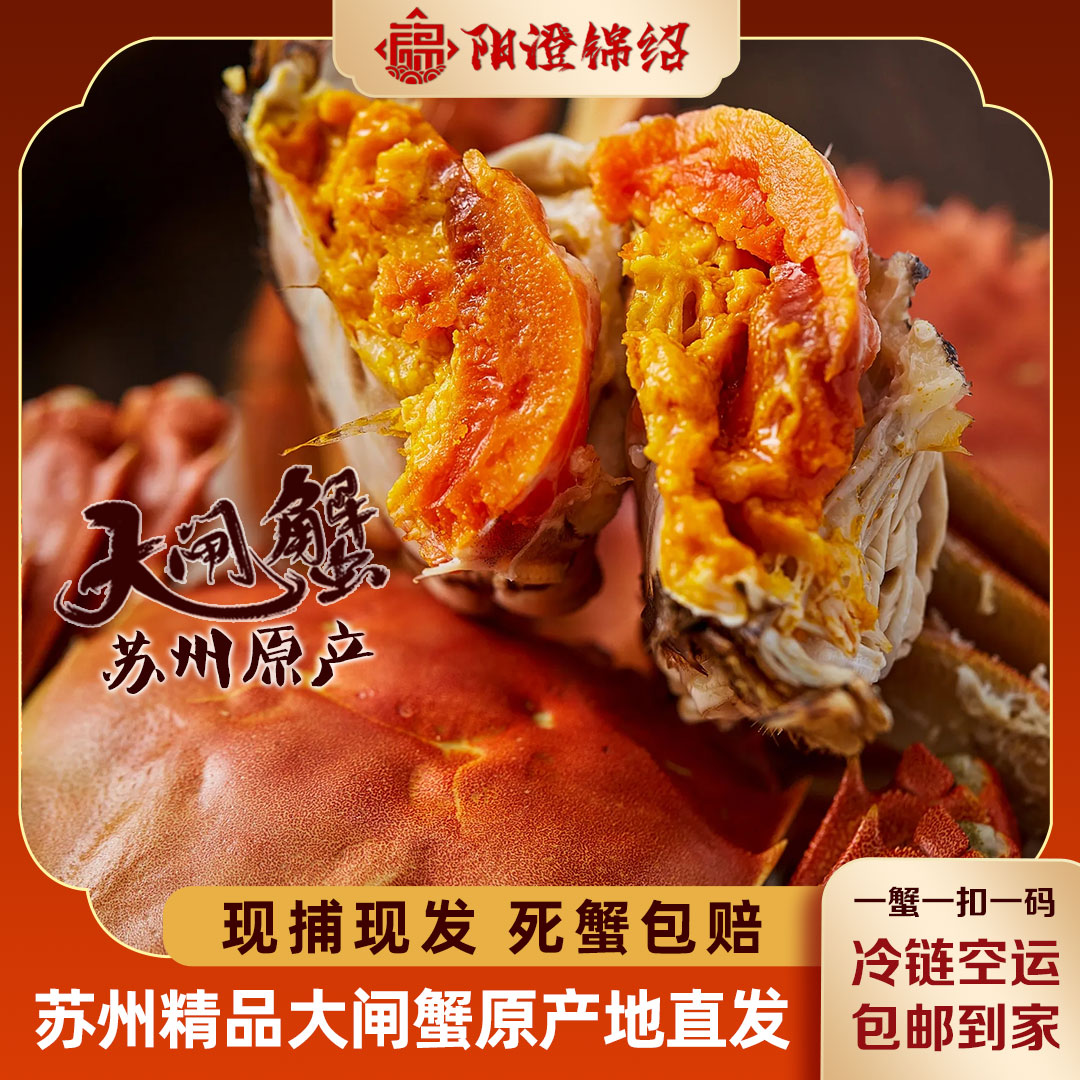 【活蟹】阳澄锦绍苏州知名品牌大闸蟹母3两8只+2只盒装苏州金标蟹