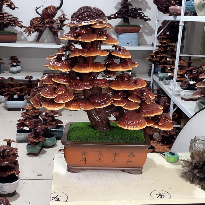 全部花朵图图图图图88888