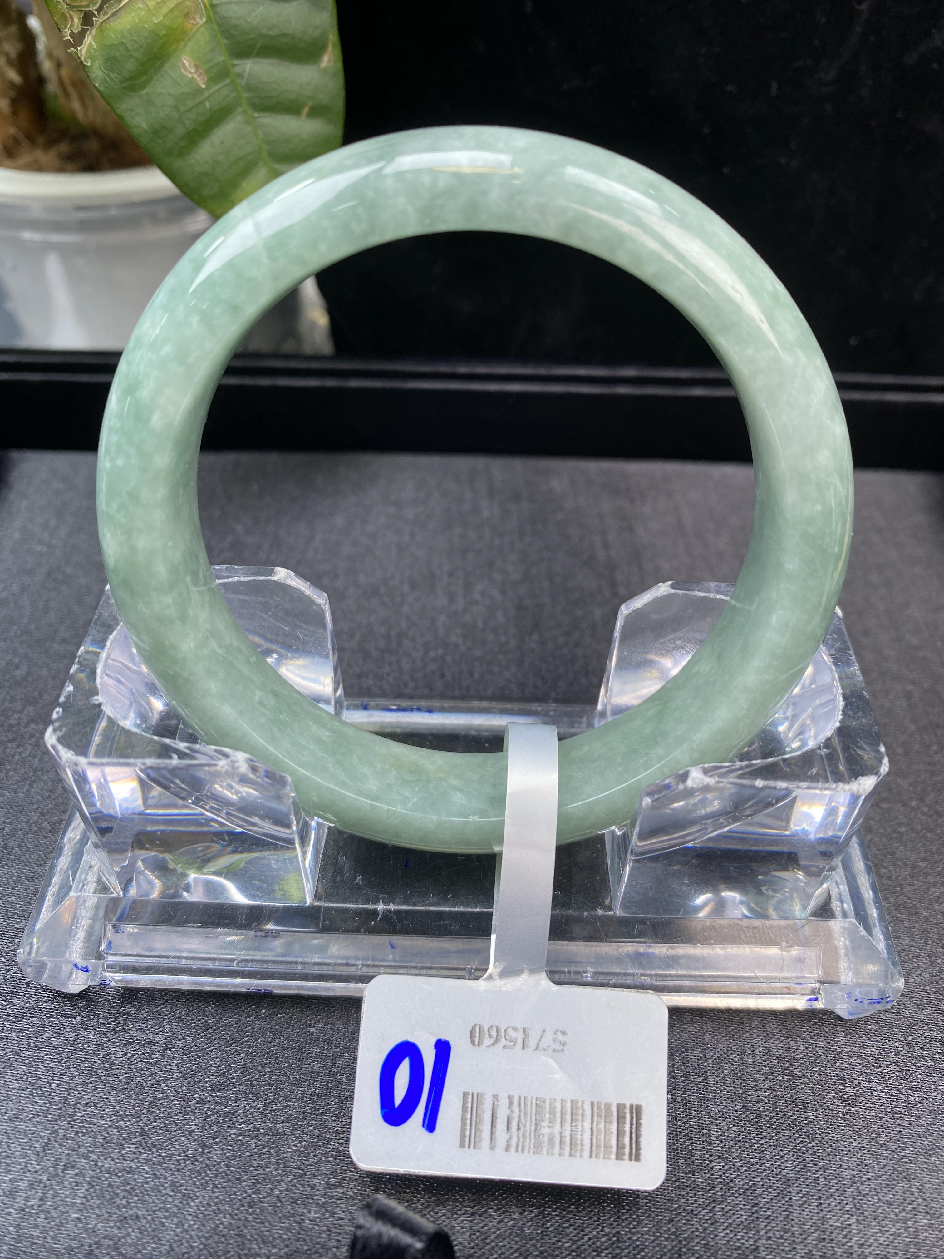 可可推荐翡翠手镯A10