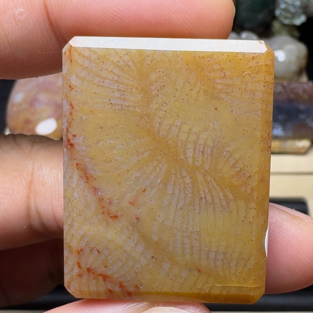 硅化玉未镶嵌纯天然色有机玉石保真色瑕疵特价不退换