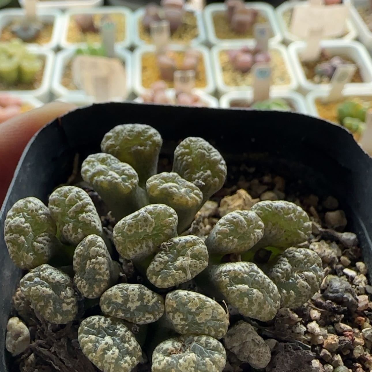 【闪购商品】0507       