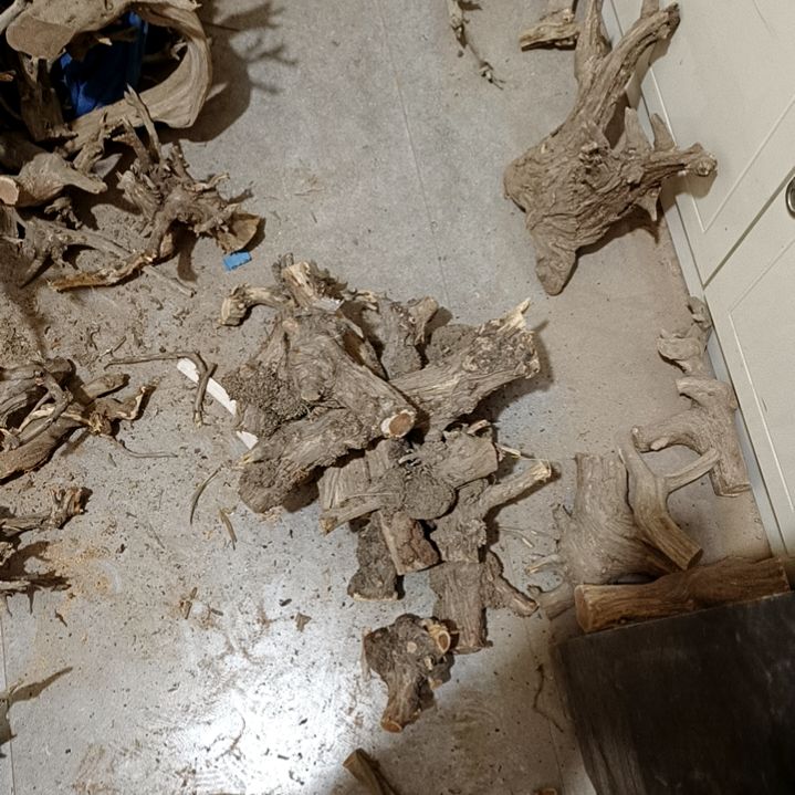 小***好香榧木崖柏瘤疤料一堆