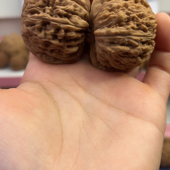 四座楼46尺 全品无修