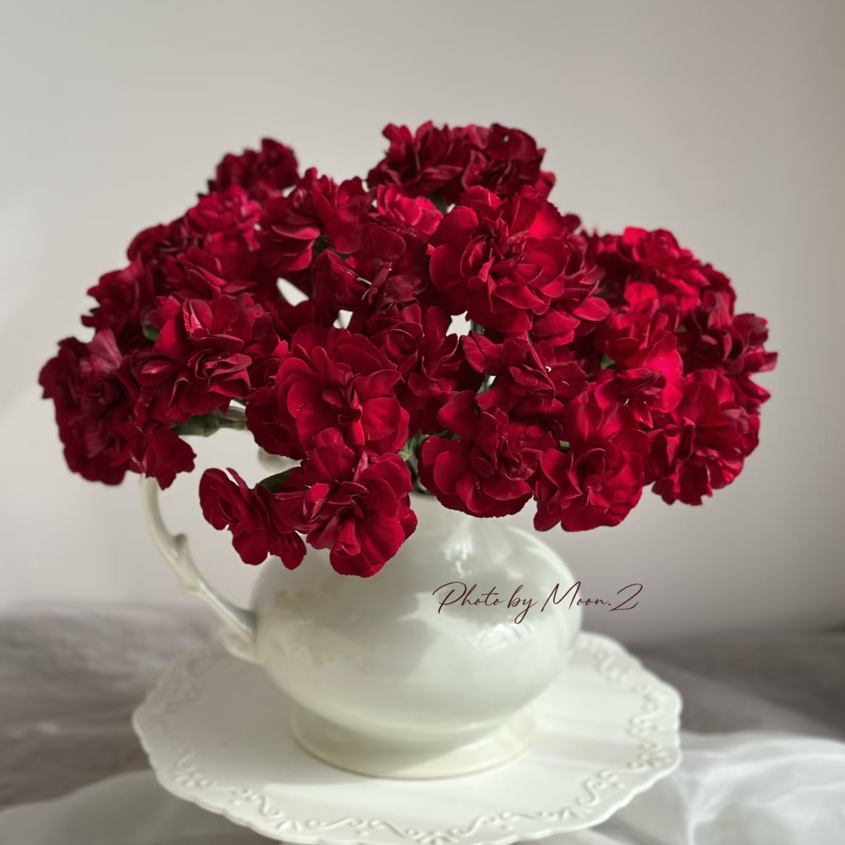 【香羿鲜花】黑珍珠多头康乃馨18支/全场任意两单及以上包邮