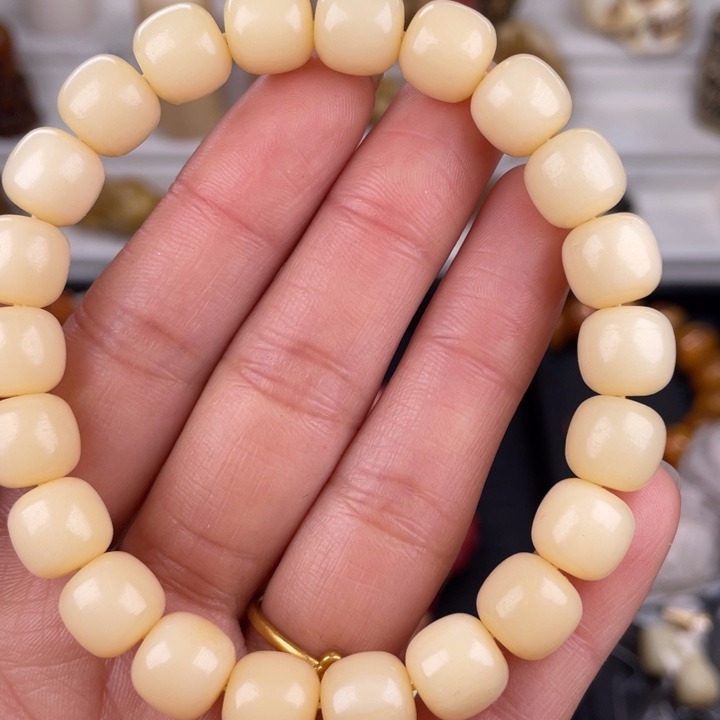 驼骨其他骆驼骨老邢10