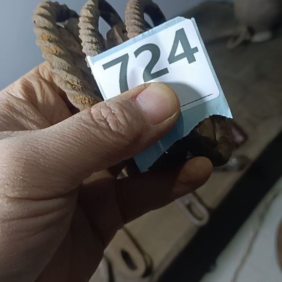 情***型如意门环六个坚持一下