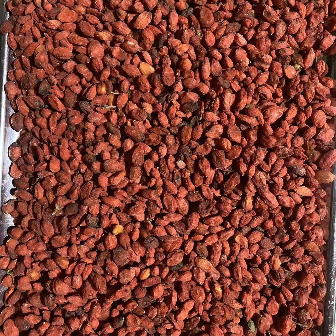 甘肃大山采摘野生枸杞250g包邮。红颜色略黑，颗粒有大有小，泡茶。