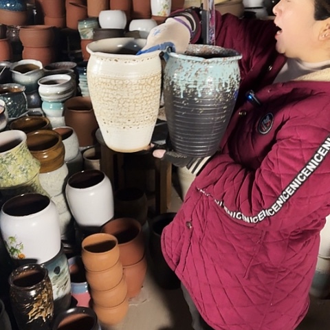 口17高25盆子盆子。