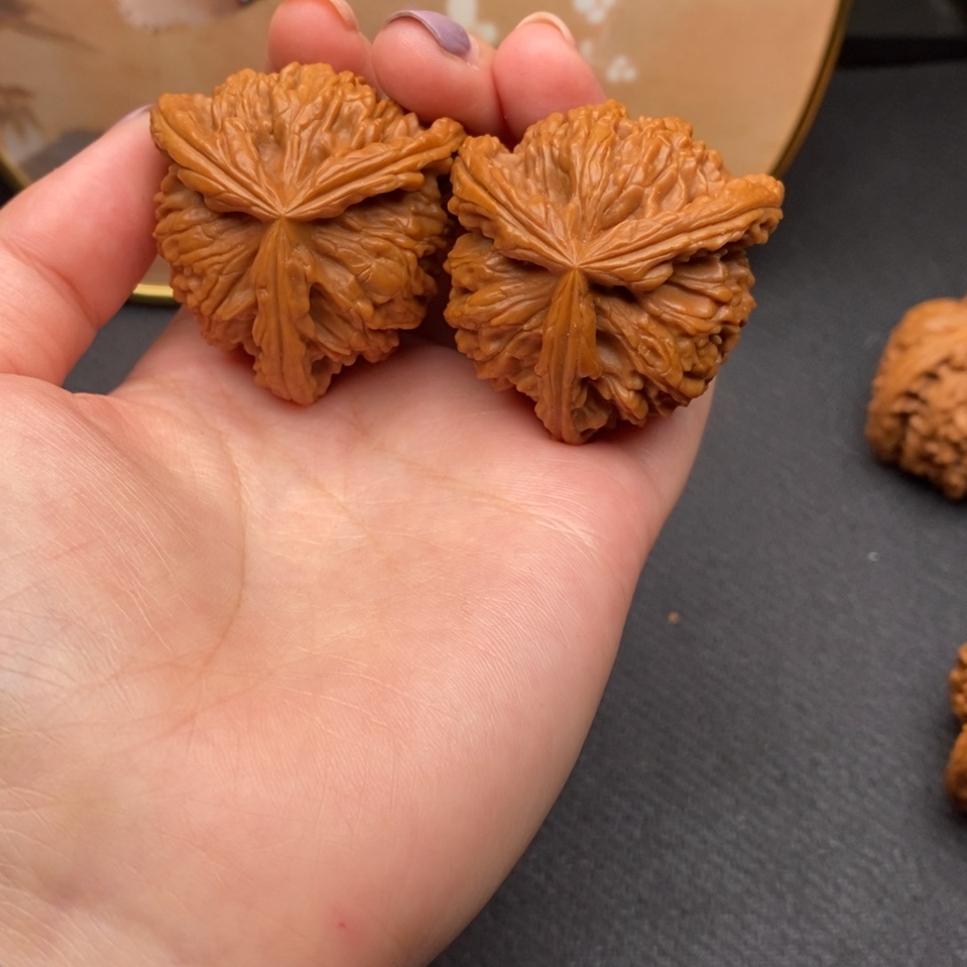 ｎ****ｏ白狮子1111111111111