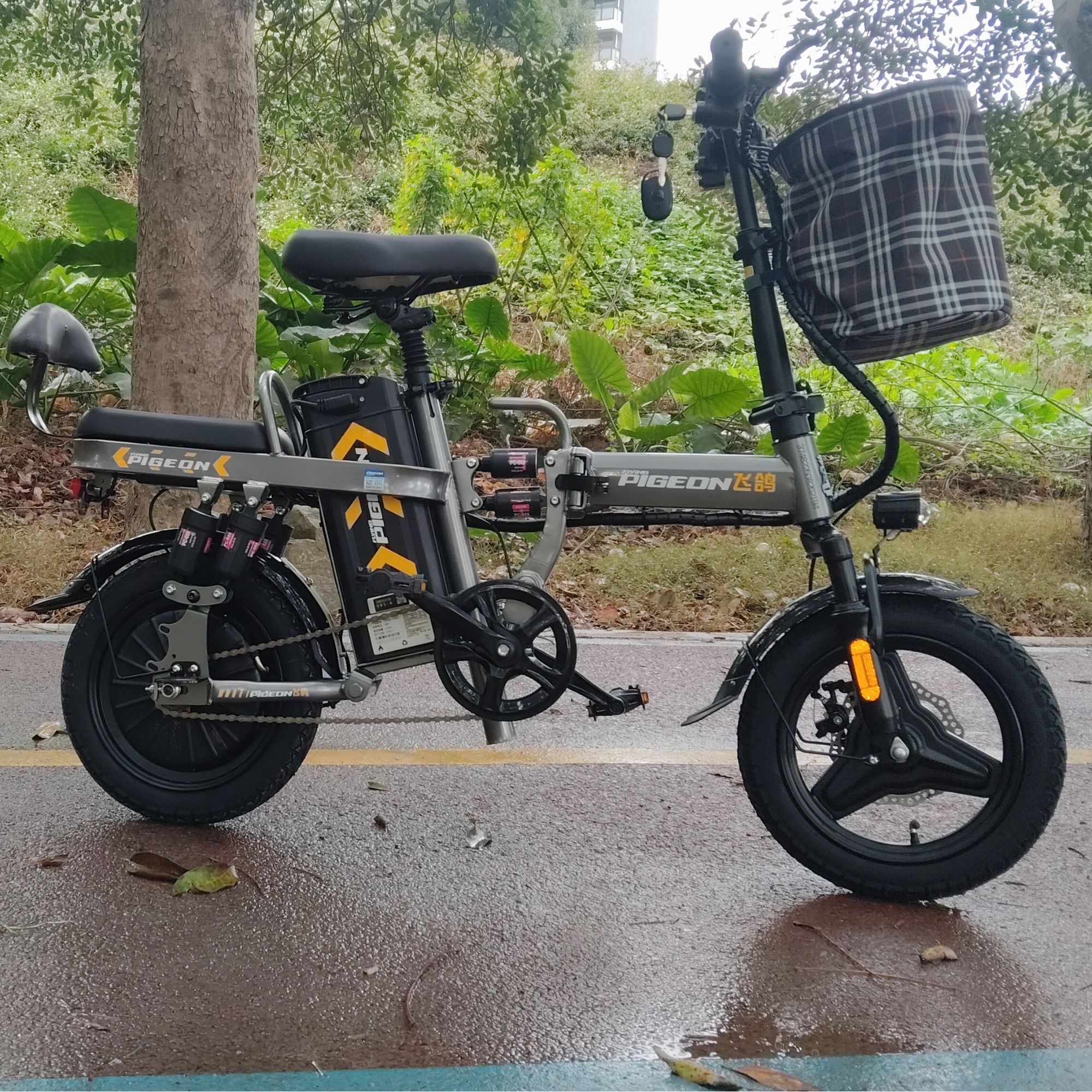 还没改价，勿拍，新国标电动自行车可折叠轻便小型代步车