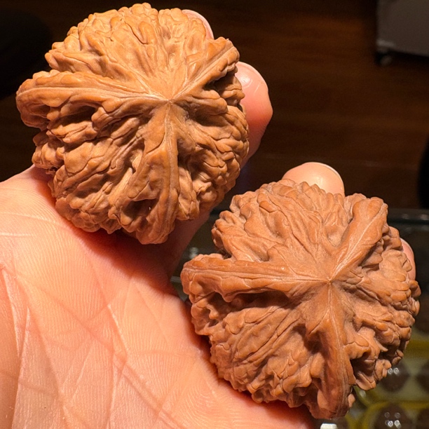 精品御龙粗筋40尺寸