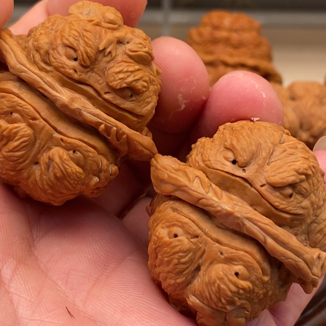 核桃手串/手链金蝉蛤蟆头