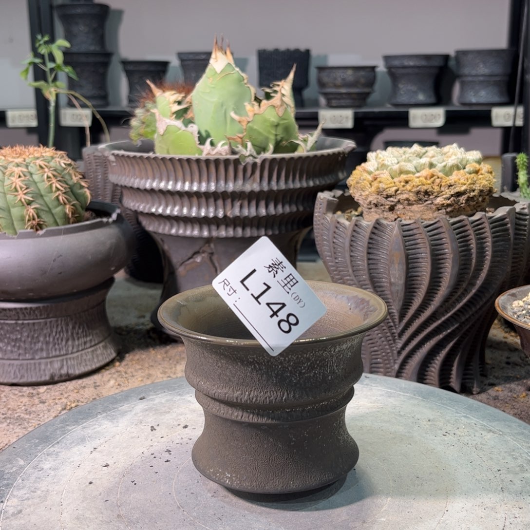 景德镇手工素里内口10.5高8