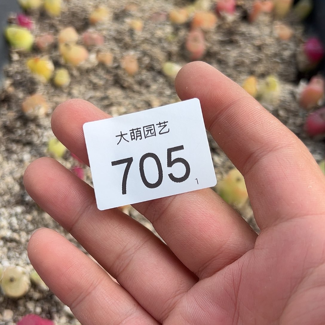 0000705 清框脱土发无售后