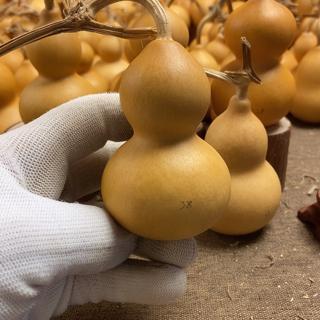 文玩葫芦 完美主义者 慎拍38