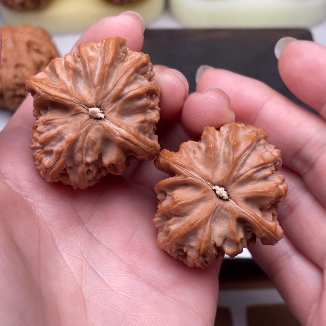 文玩核桃把件白狮子37