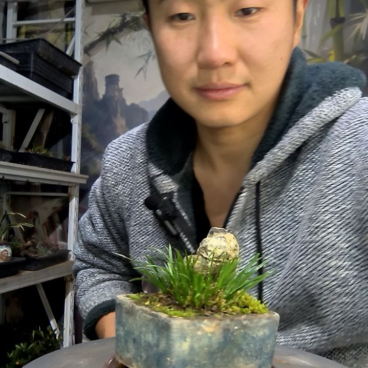 阿***莲中青园艺一物一拍花143