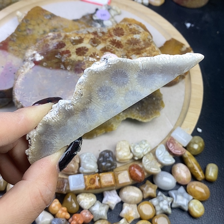 硅化玉未镶嵌颈饰