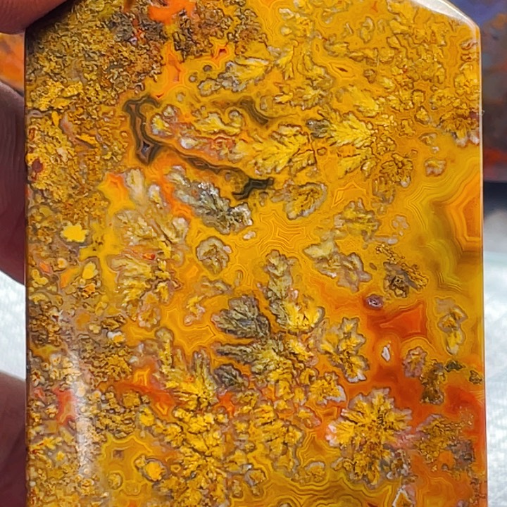 玛瑙/玉髓玛瑙未镶嵌橄****e