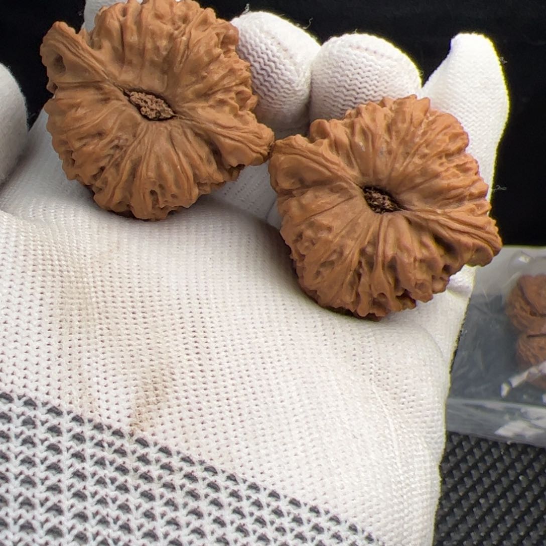 核桃手串/手链十**日南疆核桃