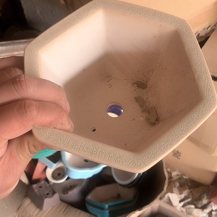 紫砂没有那么重要的人在我们