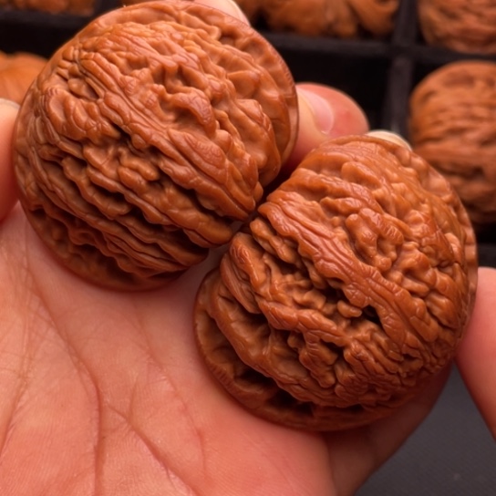 文玩核桃把件1111111111111