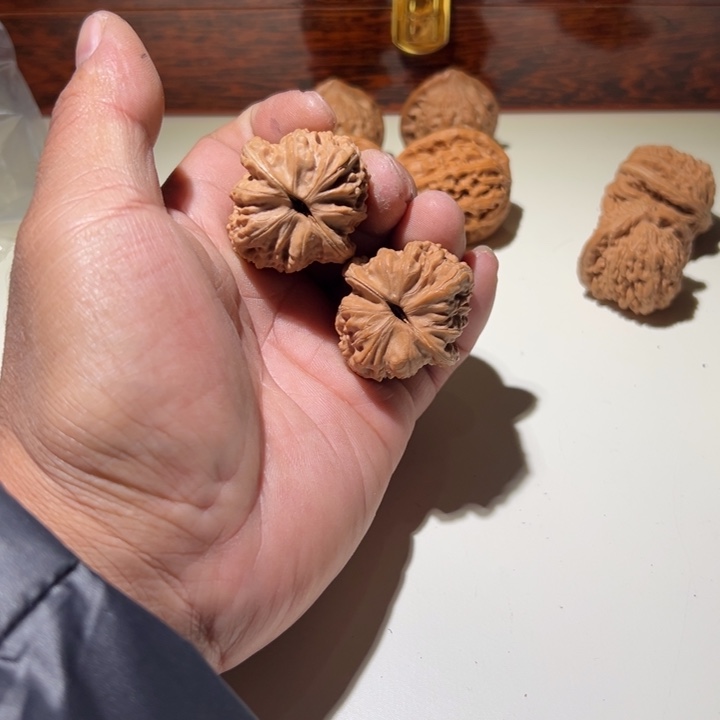 文玩核桃把件M*T赤龙