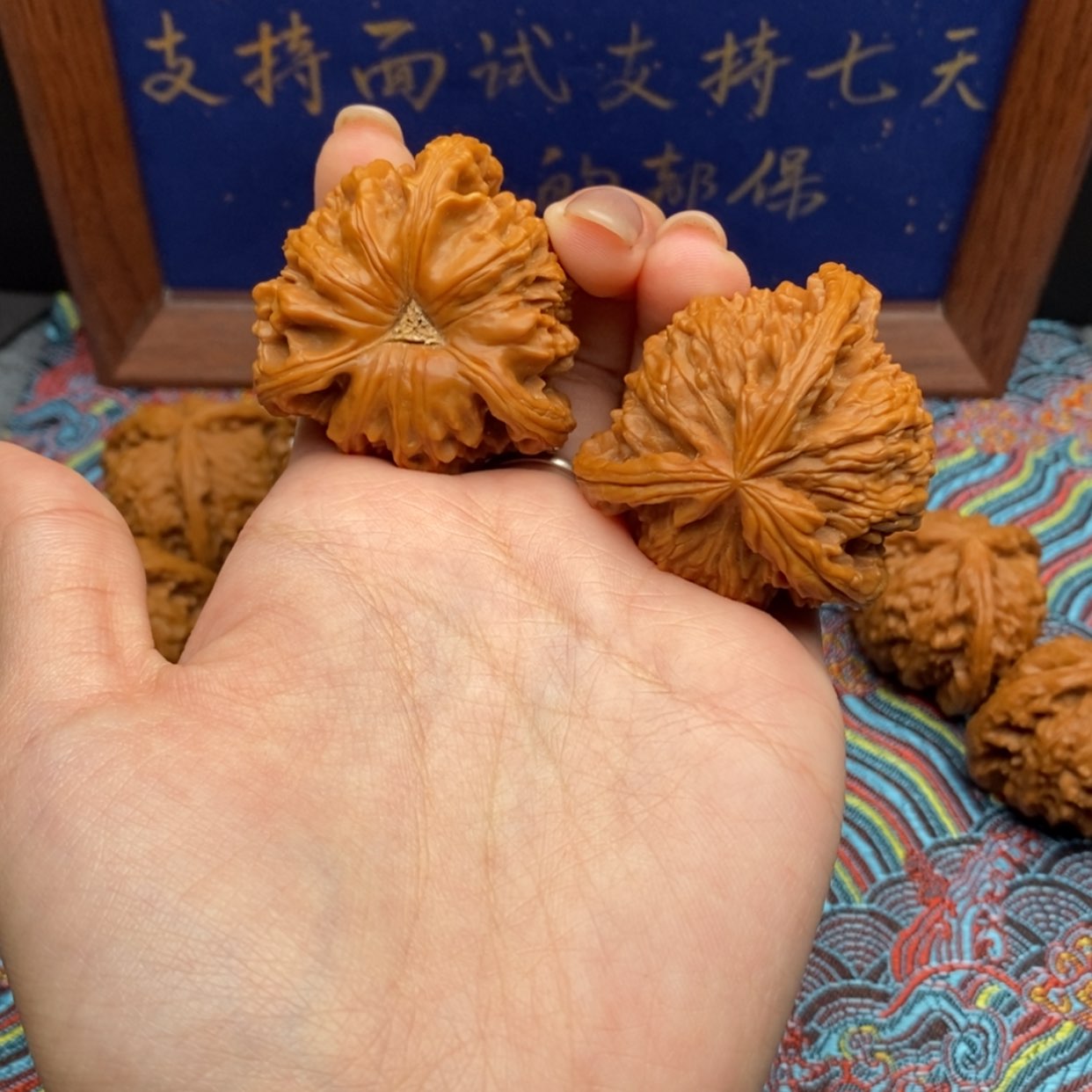 【闪购商品】！****。白狮