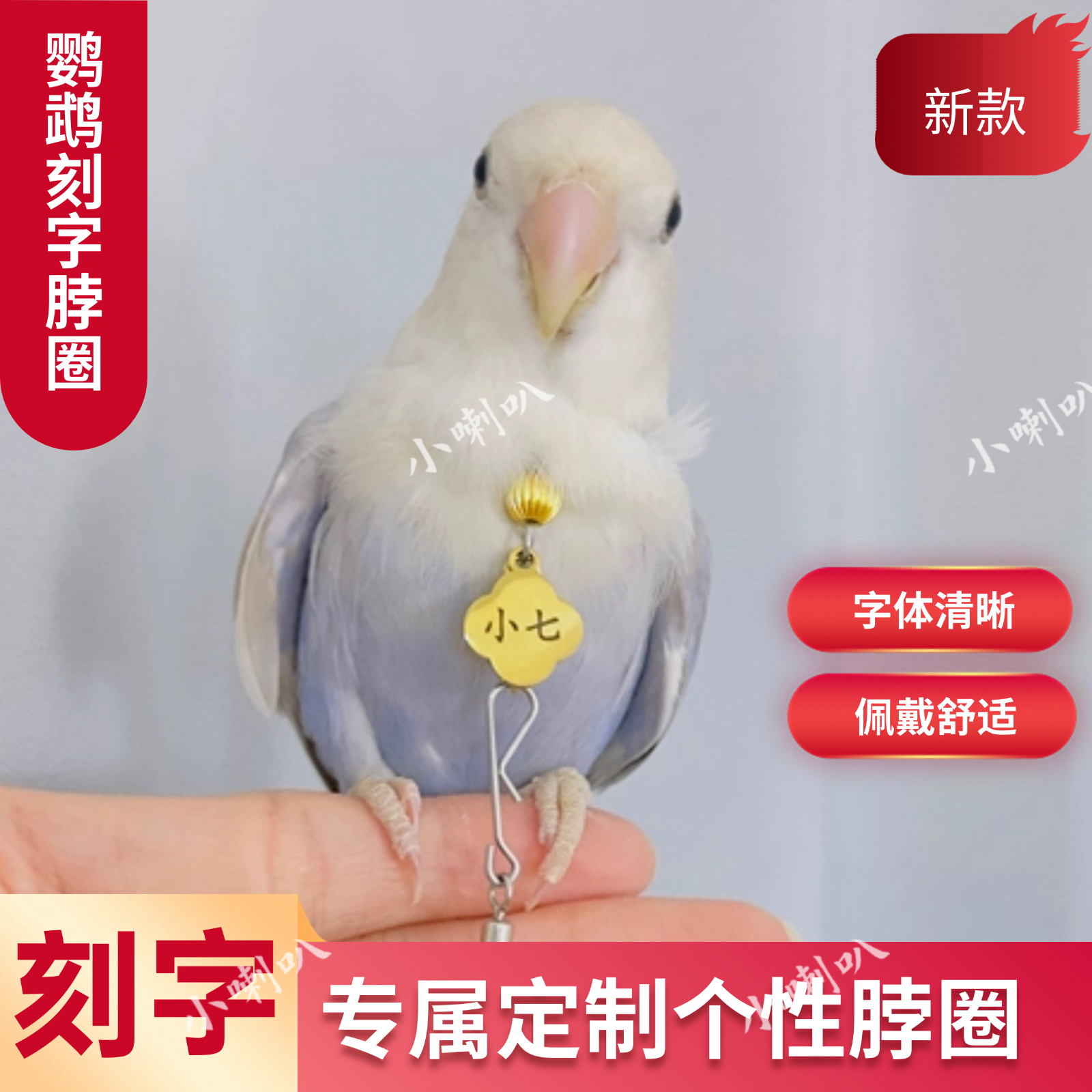 刻字鹦鹉脖套金太阳玄凤户外栓鸟链子牡丹小太阳训鸟脖圈链子和尚