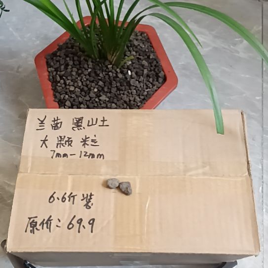 雲***清兰菌黑山土大颗粒6.6斤