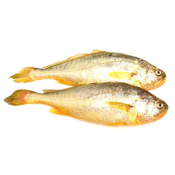 深海黄鱼 约300g-550g/条 鲜而不腥 老少皆宜
