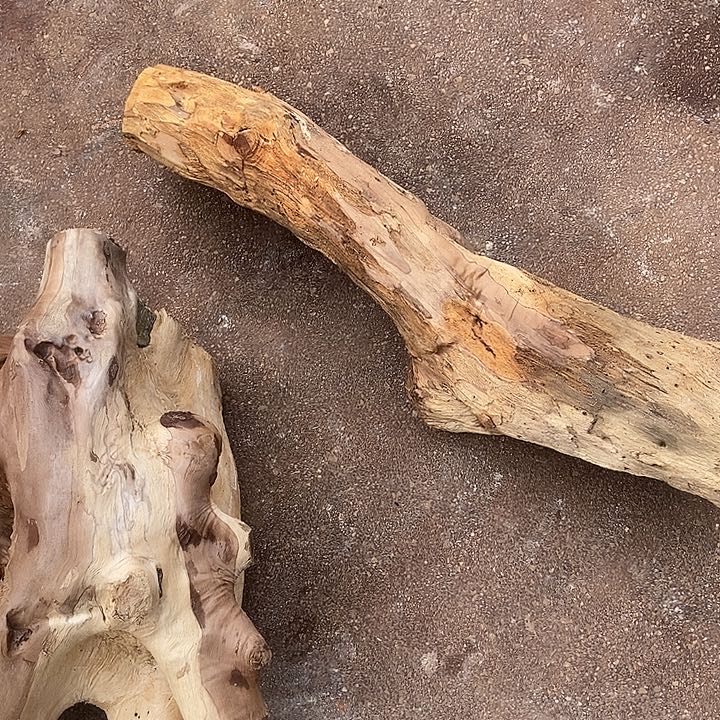 黄***者其他楠木（金丝楠）