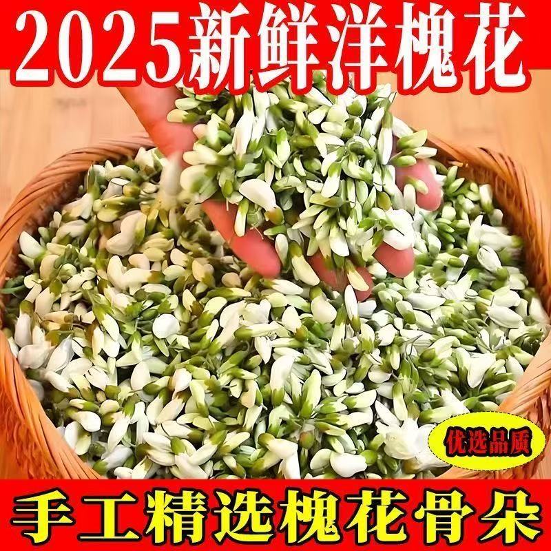 新鲜槐花野菜现采发货洋槐花花苞花骨朵洋槐花洋蓟荆芥