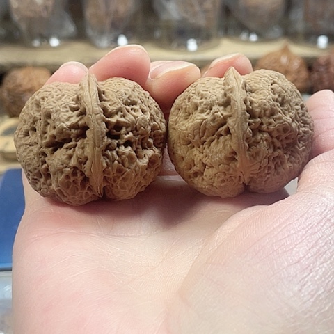 文玩核桃把件密纹金蟾带彩磕尖42