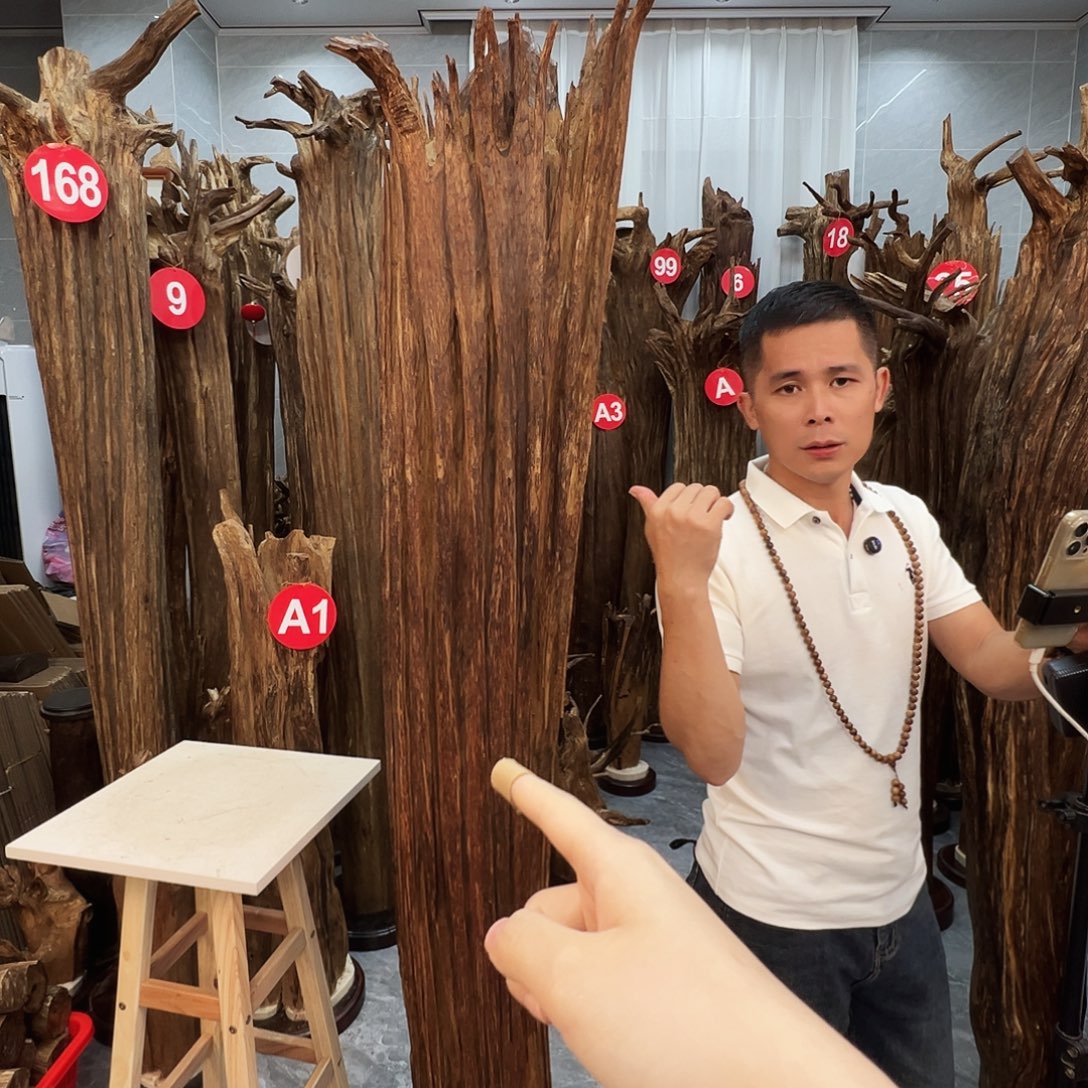 老***朱摆件沉香沉香原料