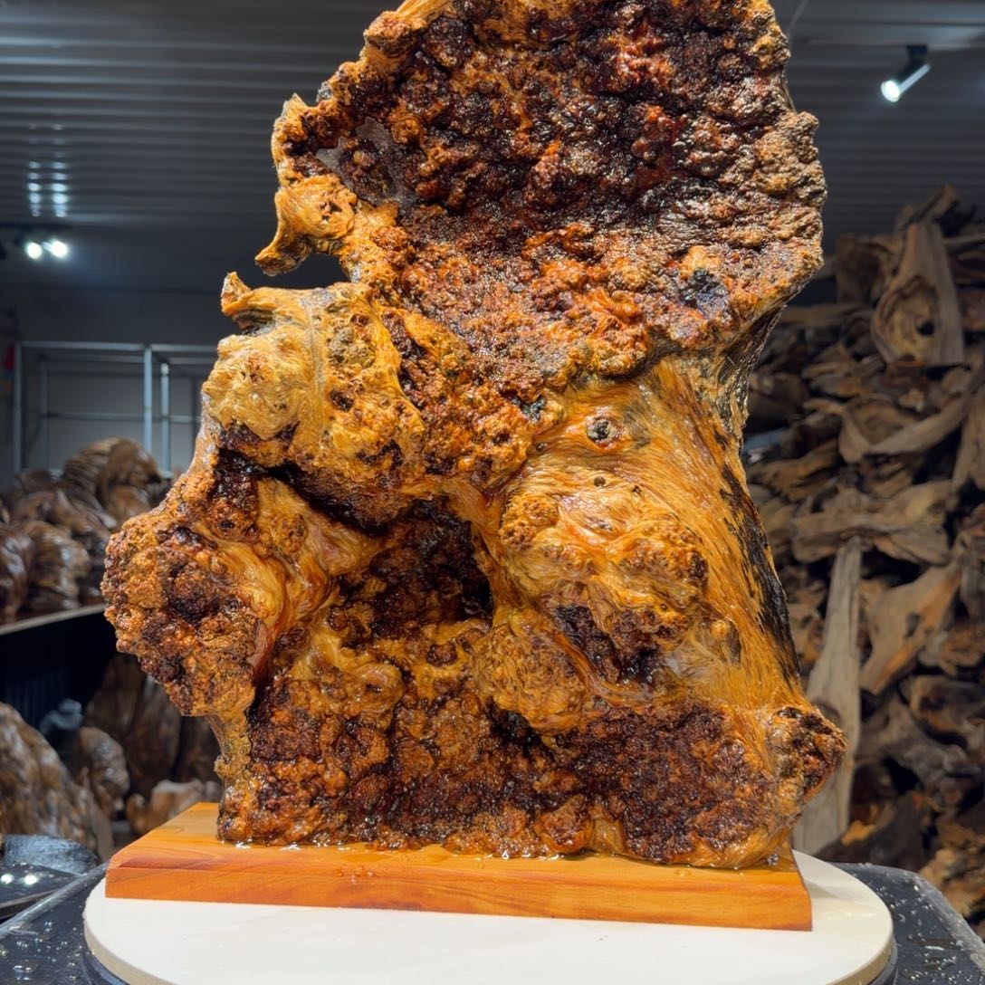 查***理木王一刀琥珀木摆件25