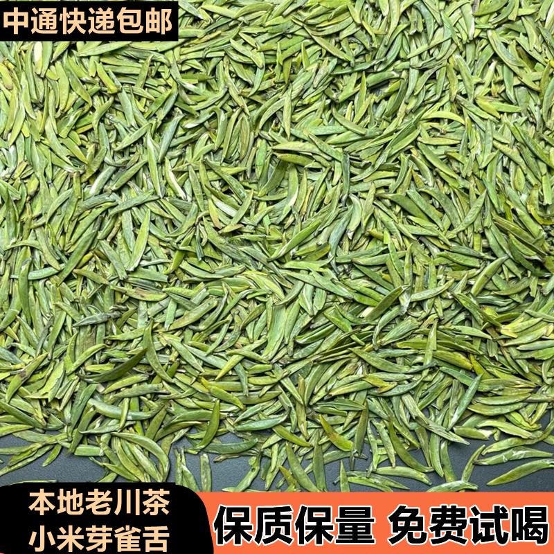 老川茶小米芽雀舌明前头采实心芽小芽2025年新茶口感醇厚散装称重